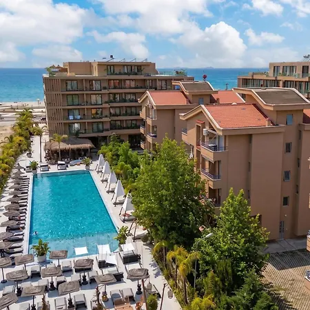 Modern Pool Side Palm - Happy * Vlorë
