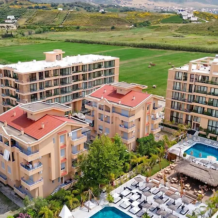 Modern Pool Side Palm - Happy * Vlorë
